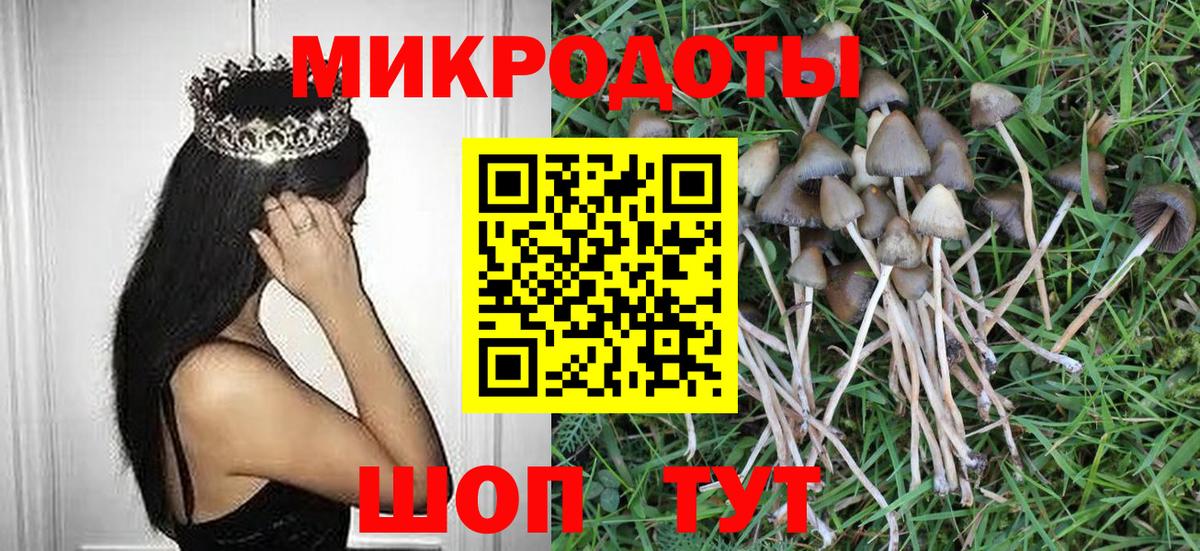 Галлюциногенные грибы мухоморы  Вход с VPN  Сегежа 